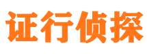 平鲁侦探公司